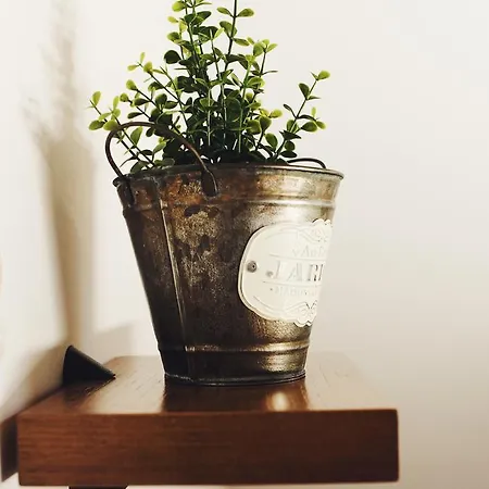 Hostel Camino Norte *