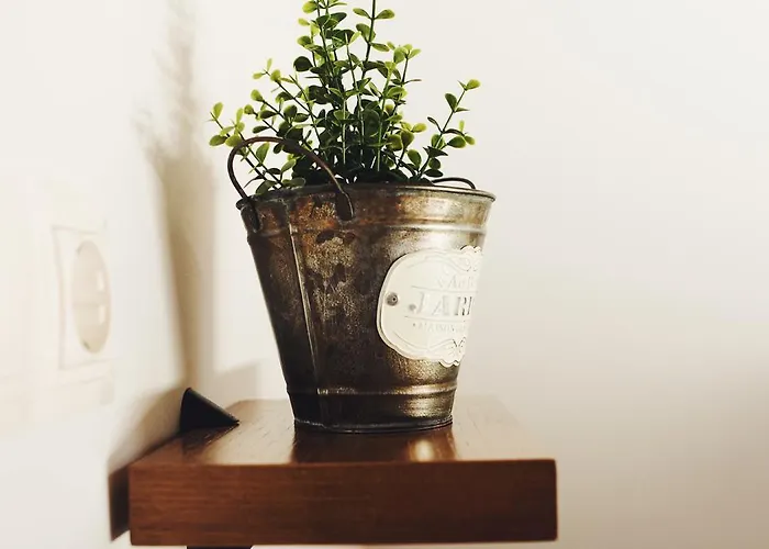 Hostel Camino Norte *